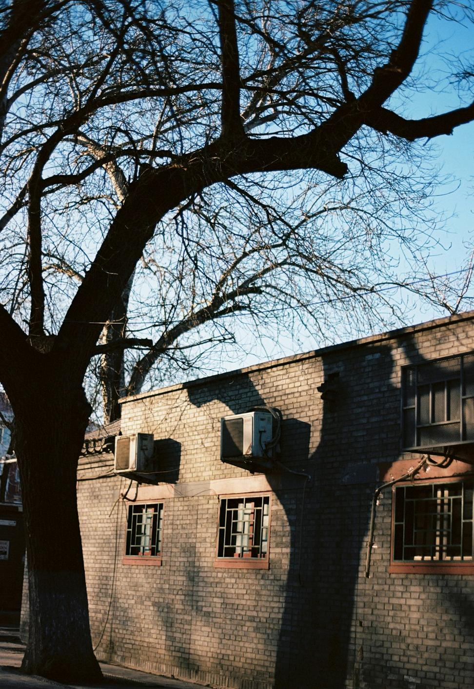 Heritage restoration project